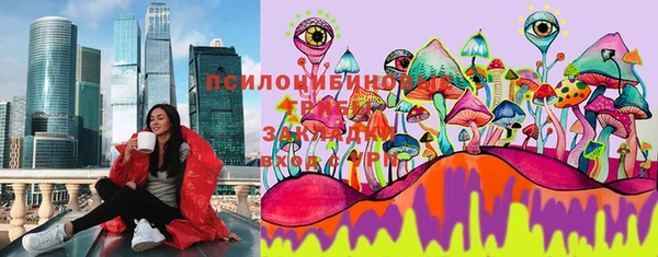 a pvp Осинники