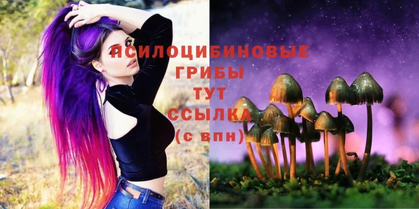 скорость Балахна