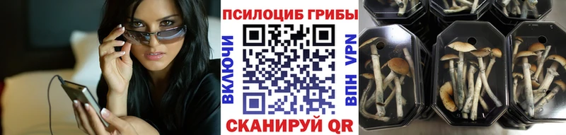 Псилоцибиновые грибы прущие грибы  Рыбинск 